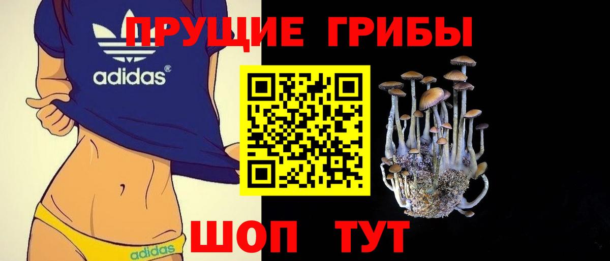 Псилоцибиновые грибы Cubensis Фролово